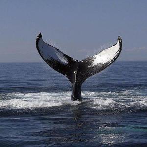 女性向do爱在线观看
