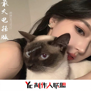 女性向do爱在线观看
