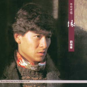 女性向do爱在线观看
